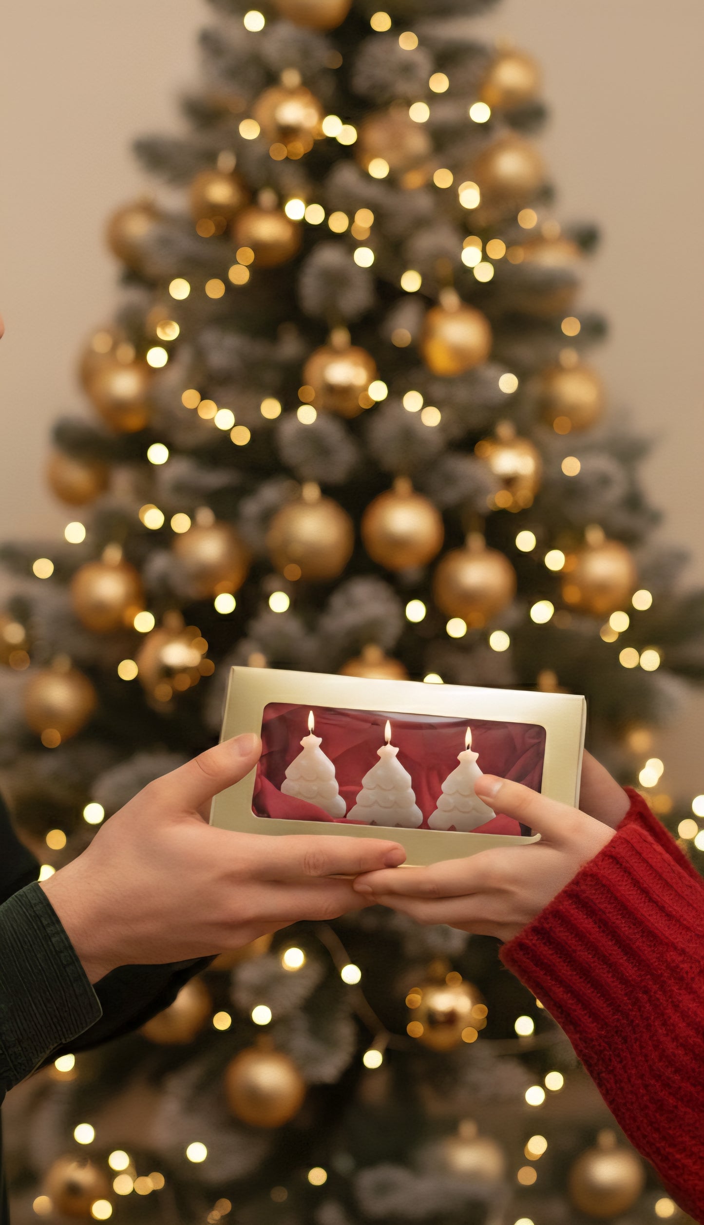 Everglow Trio scented candle set- pack of 3